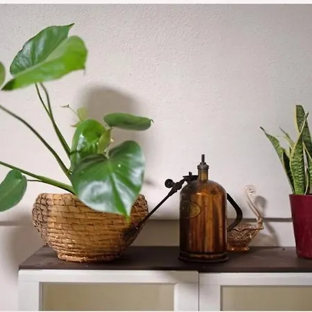 Casa Da Gina * Дольчеаккуа