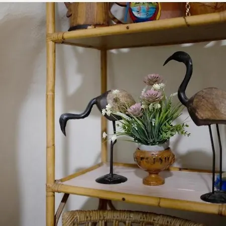 Апартаменты Casa Da Gina