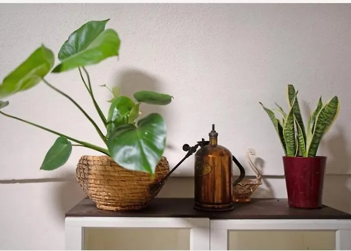 Casa Da Gina * Dolceacqua